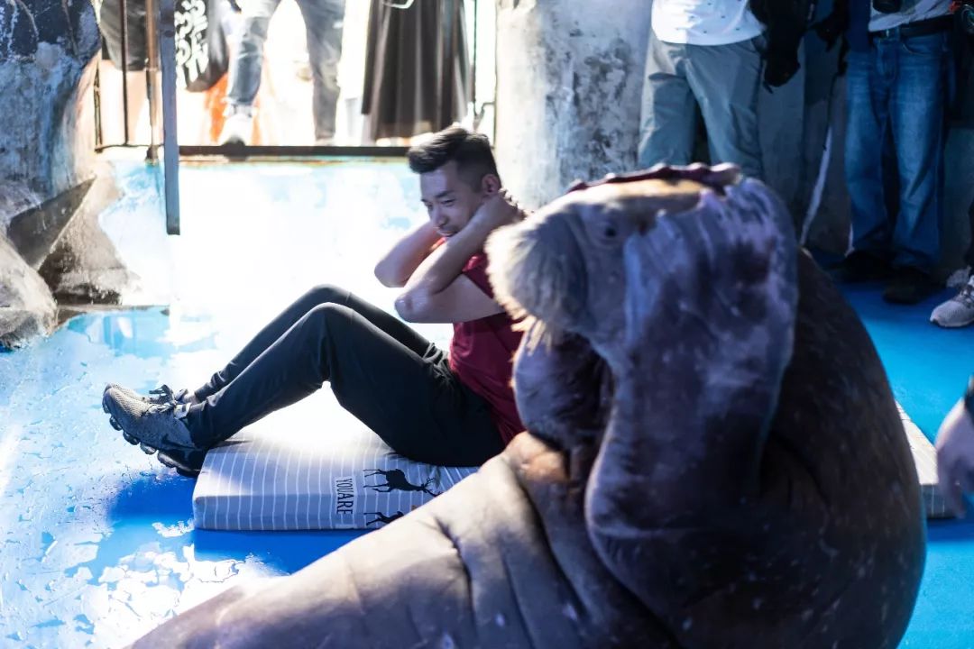 蓬莱美如画,蓬莱美景