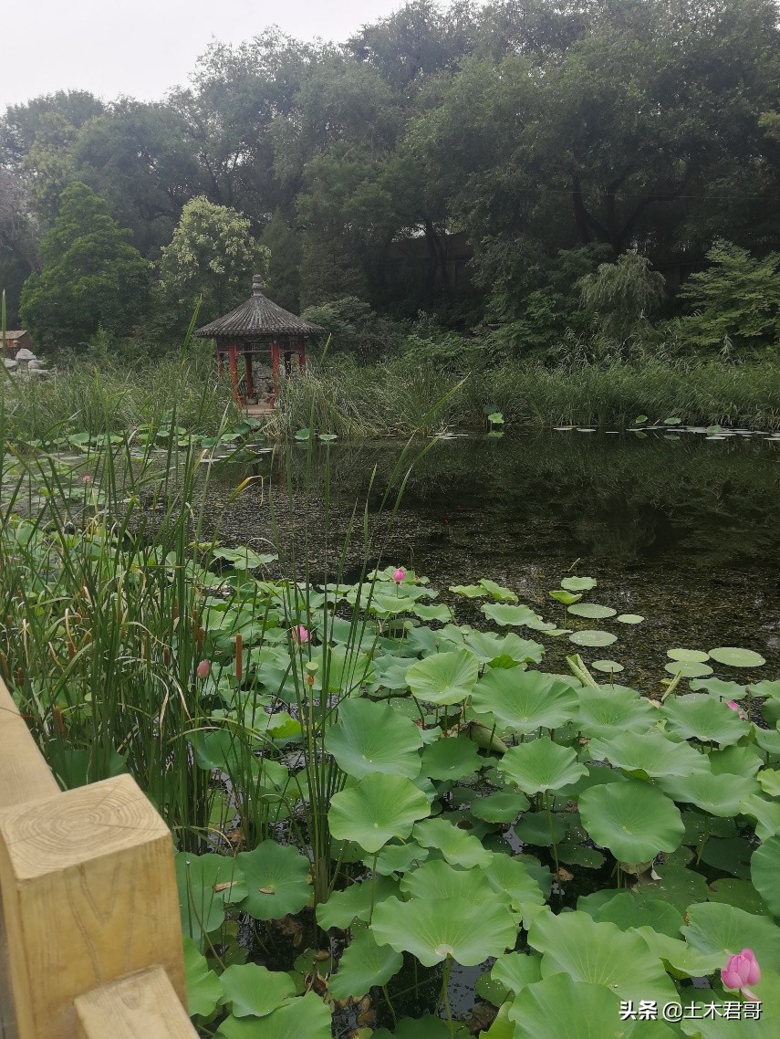 西山八大处游玩攻略,西山八大处公园