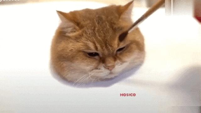 手机只要贴上膜就能观看3d电影,飞膜一贴手机就可以看3d电影