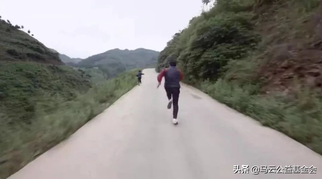 奇遇人生非洲大象,奇遇人生