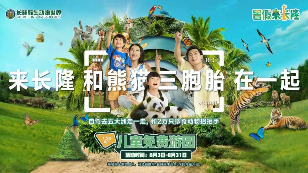 长隆野生动物世界暑假攻略,广州长隆野生动物园亲子一日游攻略