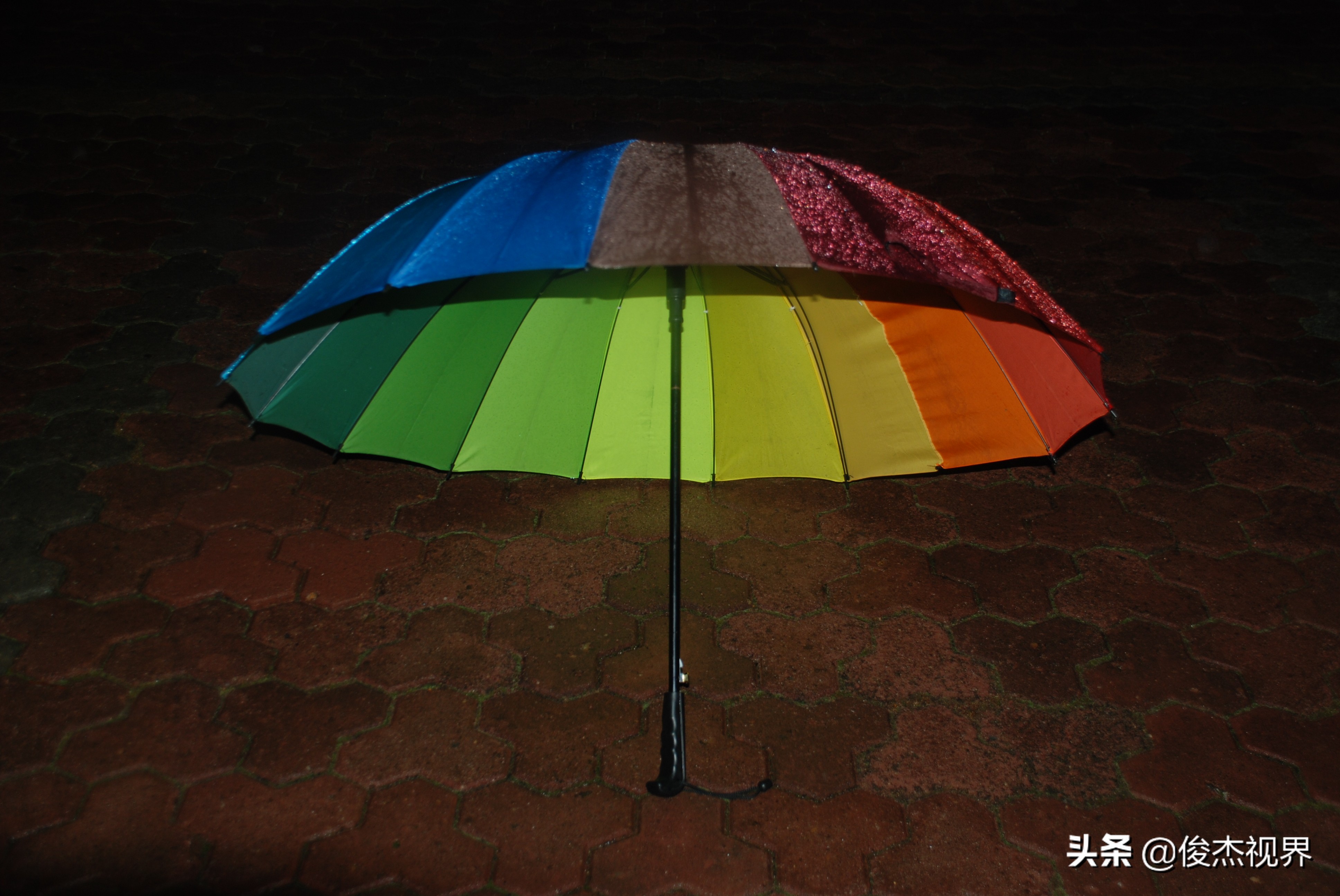 夜游遇见黄玫瑰（原创）