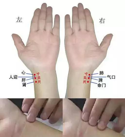 把脉看病是什么原理,中医把脉怀孕的原理是什么