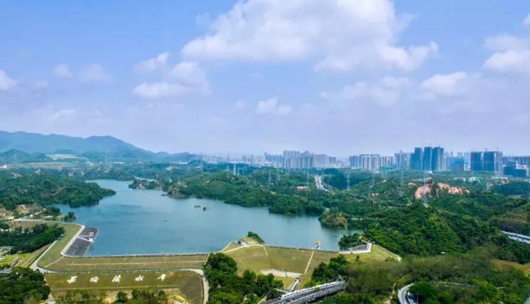 深圳西丽湖潜力,深圳西丽发展前景