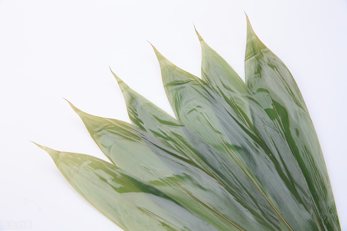 干的粽叶要怎样处理才能包粽子,粽叶怎样处理又软又不破