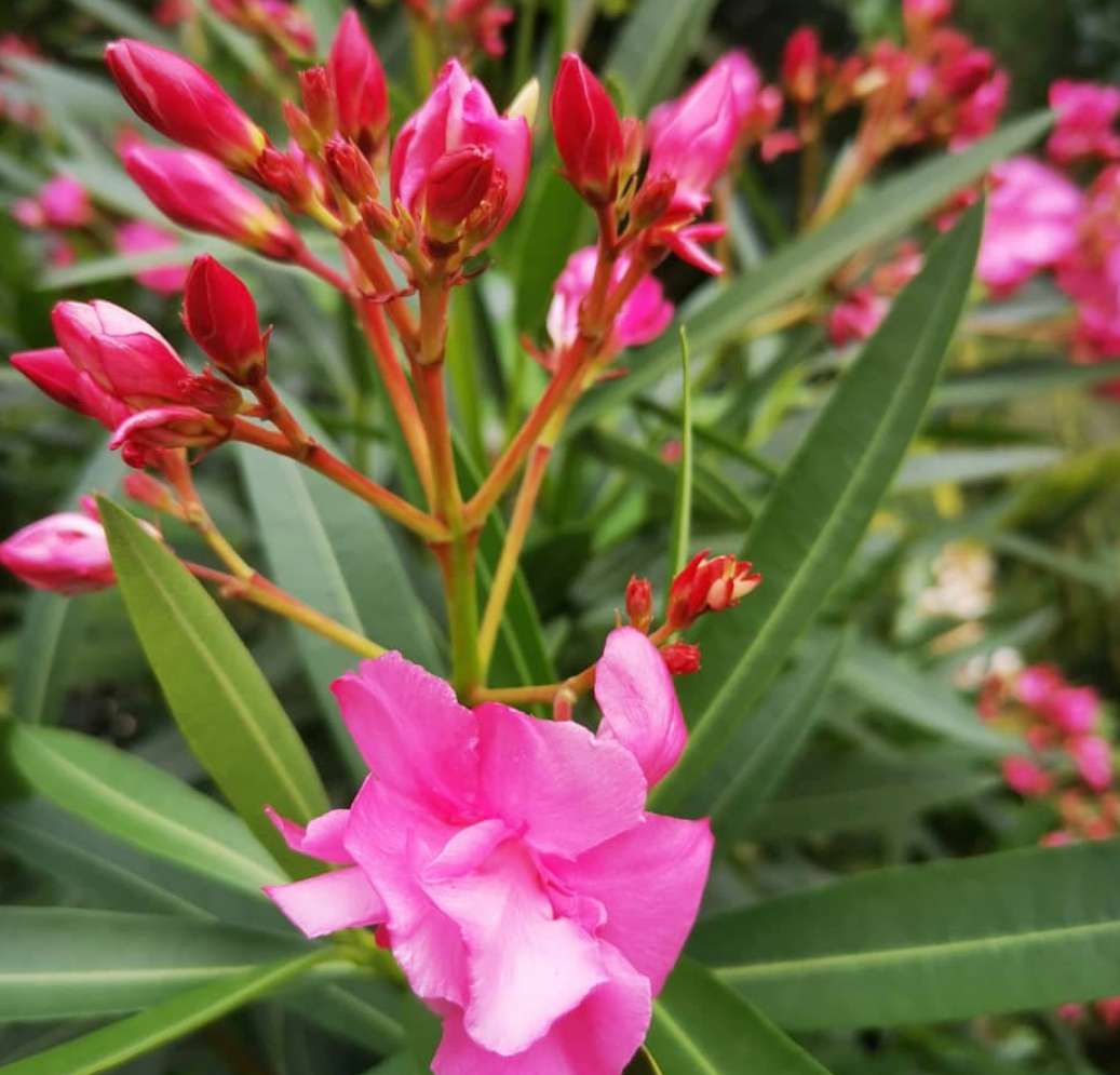 期望薪资是月薪还是年薪,薪资月薪和年薪的区别