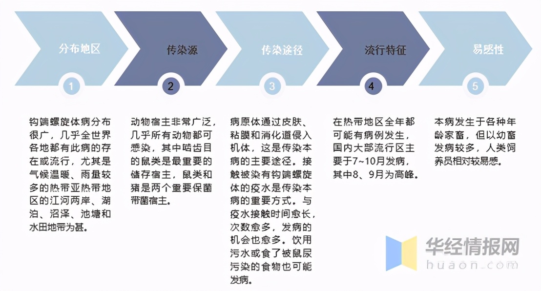钩端螺旋体最常见的死亡原因,钩端螺旋体病怎么防治