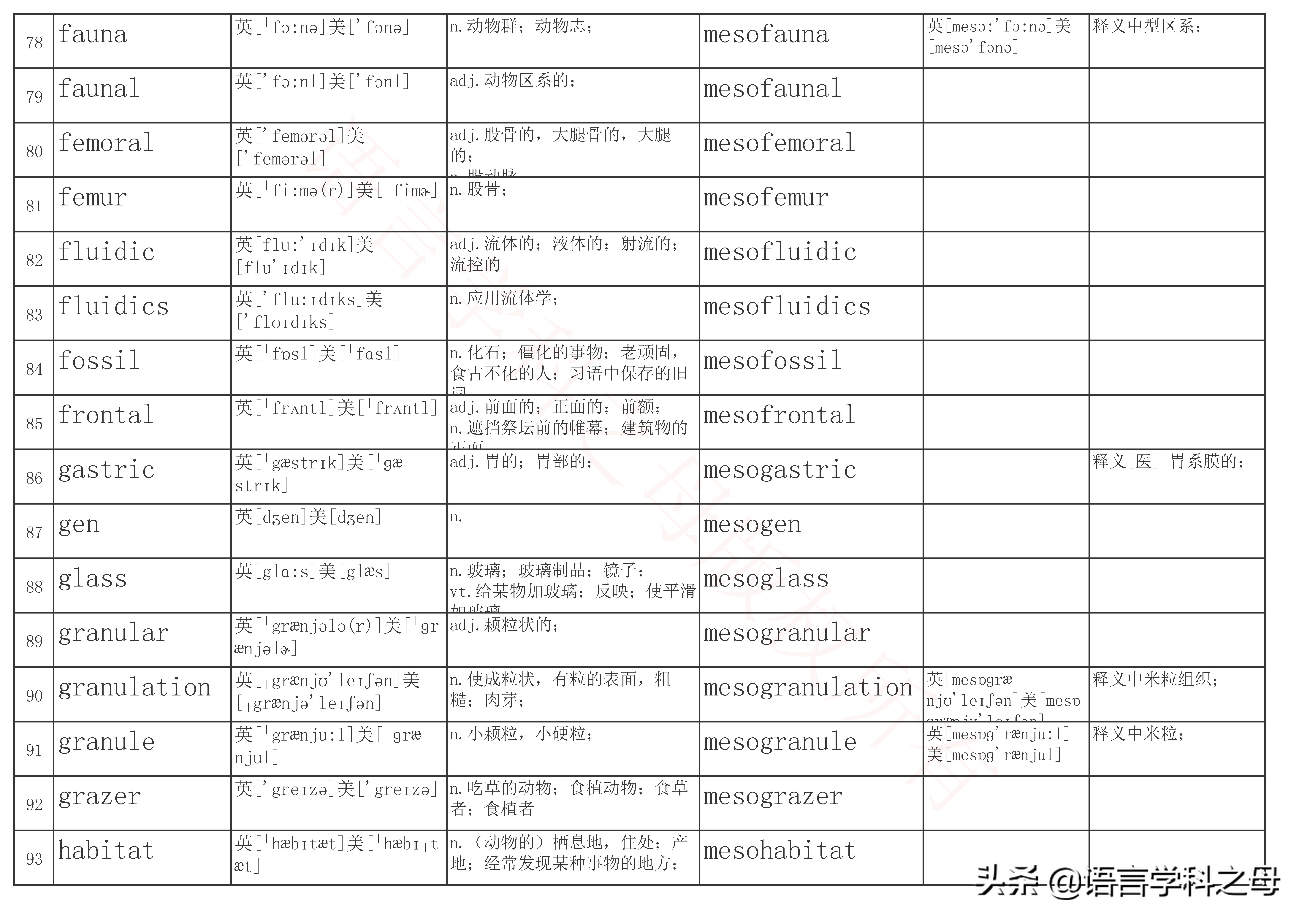 mid作前缀的单词大全,mid前缀的单词
