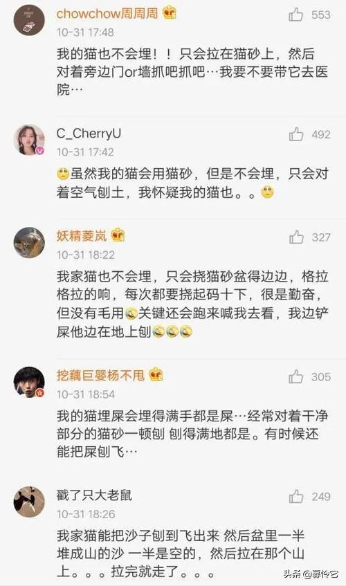 原来猫咪也有脚气,猫咪弱智