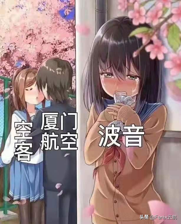 厦航空客321和波音737哪个舒服,厦航为何会选择空客