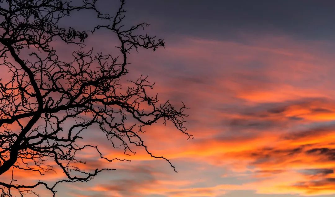 8首友谊诗词,8句有感情的古诗
