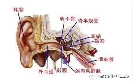 疫情中的爱耳日,疫情下的ai课