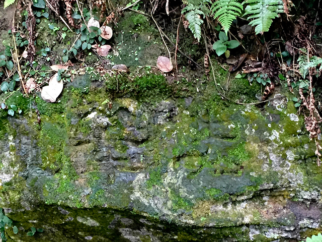 长沙有哪个古镇,长沙有名气的地方