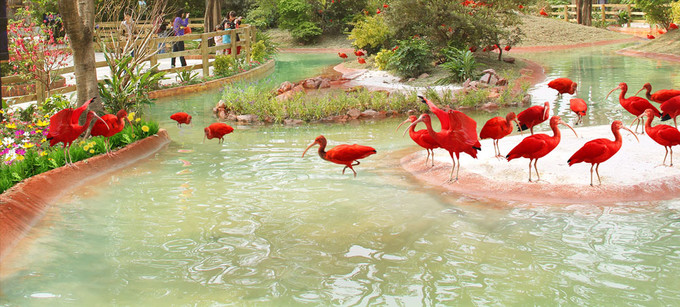 长隆拟变开放式世界主题乐园,广州长隆五大主题公园怎么玩