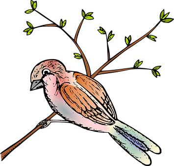 药学博士介绍化妆品,药学博士保湿护肤品