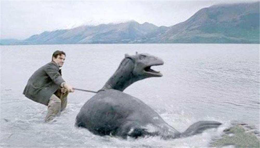 青海湖水怪最新报道,青海湖里湖怪是何物