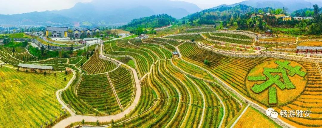 雅安4天旅游攻略最新版,五一去雅安的攻略