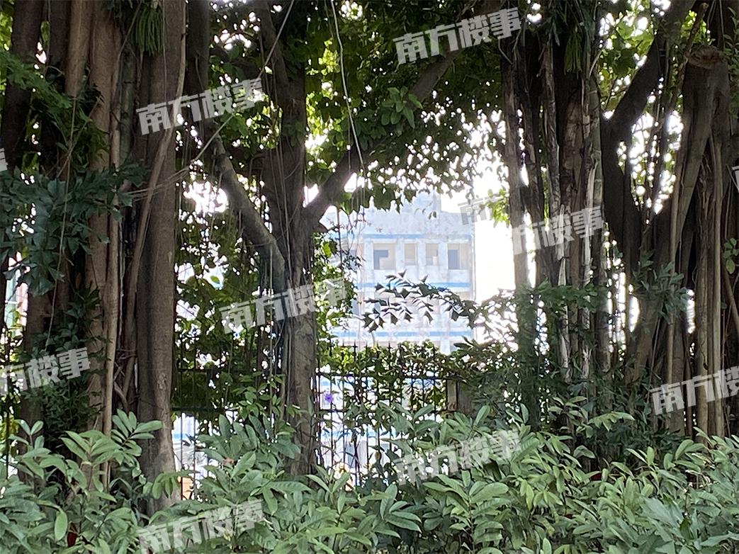 独家爆料：坂田万人撤离的厂区，被京东接手了？（多图实拍）