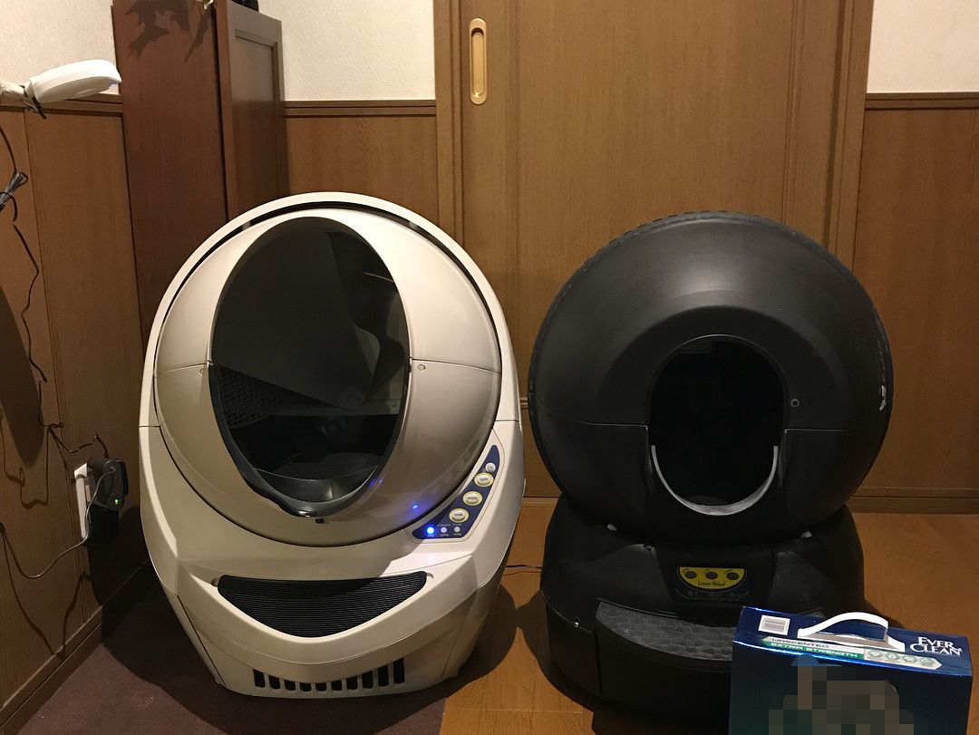 盘点致命的养猫玩具,猫咪新出网红用品