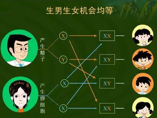 备孕的偏方真的有用吗,民间备孕成功的偏方靠谱不