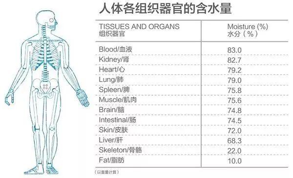 摩飞和东菱便携式烧水杯哪个好,摩飞东菱便携烧水杯测评