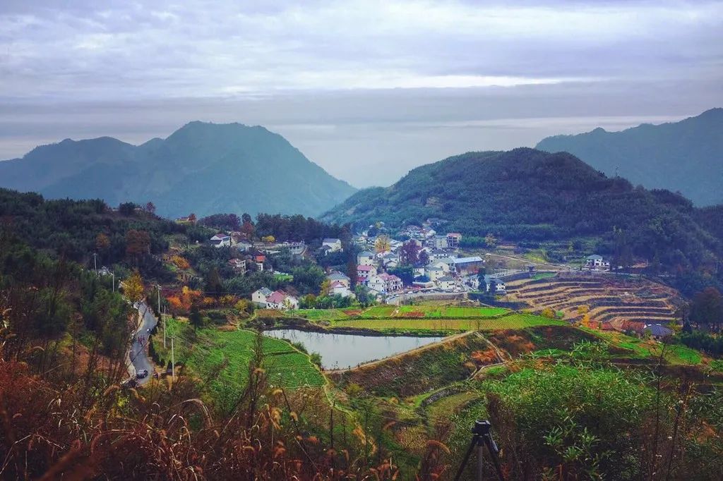 漫天香氛醉人~杭州的秋天从不让人失望!13个地方,秒出大片