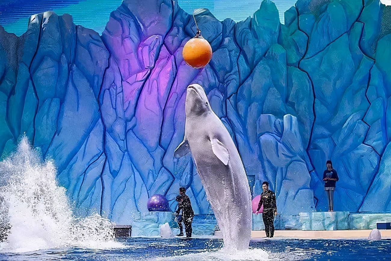 广州长隆儿童欢乐世界春节,广州长隆欢乐世界春游儿童玩什么