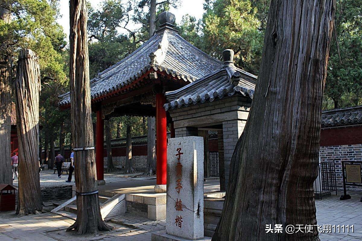 曲阜三孔旅游攻略孔庙孔府孔林,曲阜孔府孔庙孔林风景区