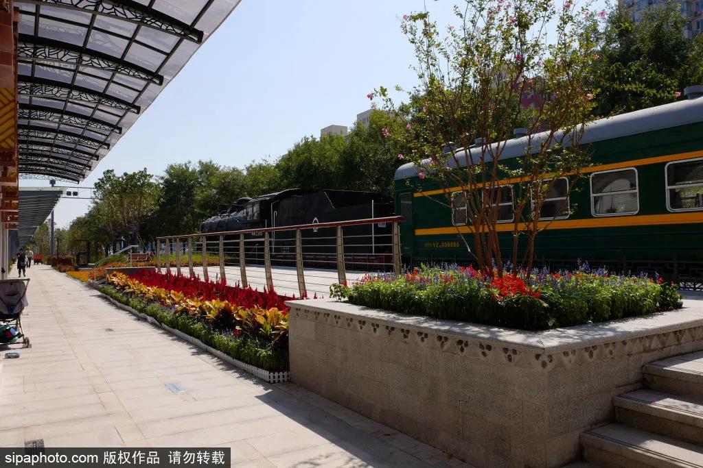 绿皮火车公园打卡景点,各种各样的免费公园