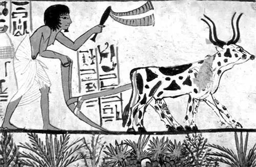 古代文明的起源及类型：有点讽刺，文明始于奴役及不平等