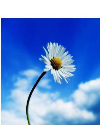 给即将步入婚姻女性的几点建议,婚姻陷入瓶颈期怎么解决