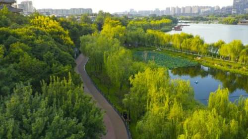 西安的夏天是什么颜色的,西安的春天有多美