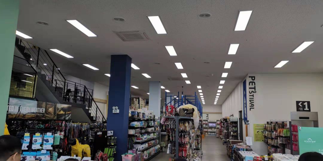 韩国宠物店推荐,韩国宠物店体验