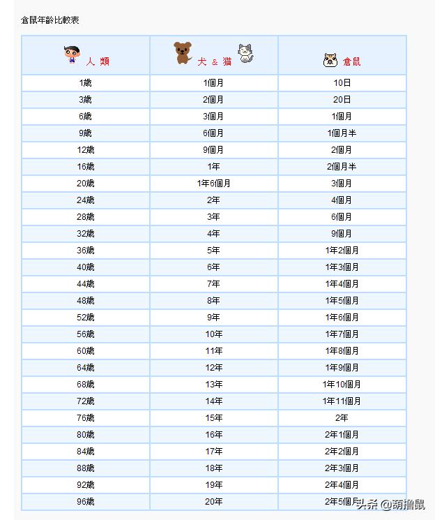 仓鼠怀孕后的注意事项,仓鼠生育注意什么事项图片