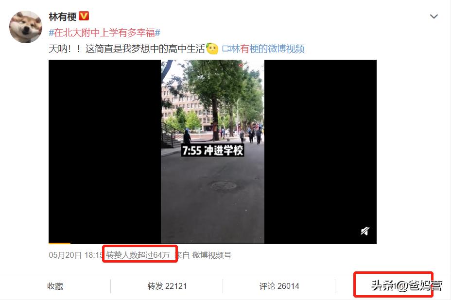 北大附中为什么这么好,在北大附中上学有多幸福