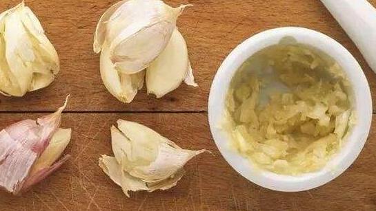 用大蒜养花会有意想不到的效果,大蒜养花小技巧图片