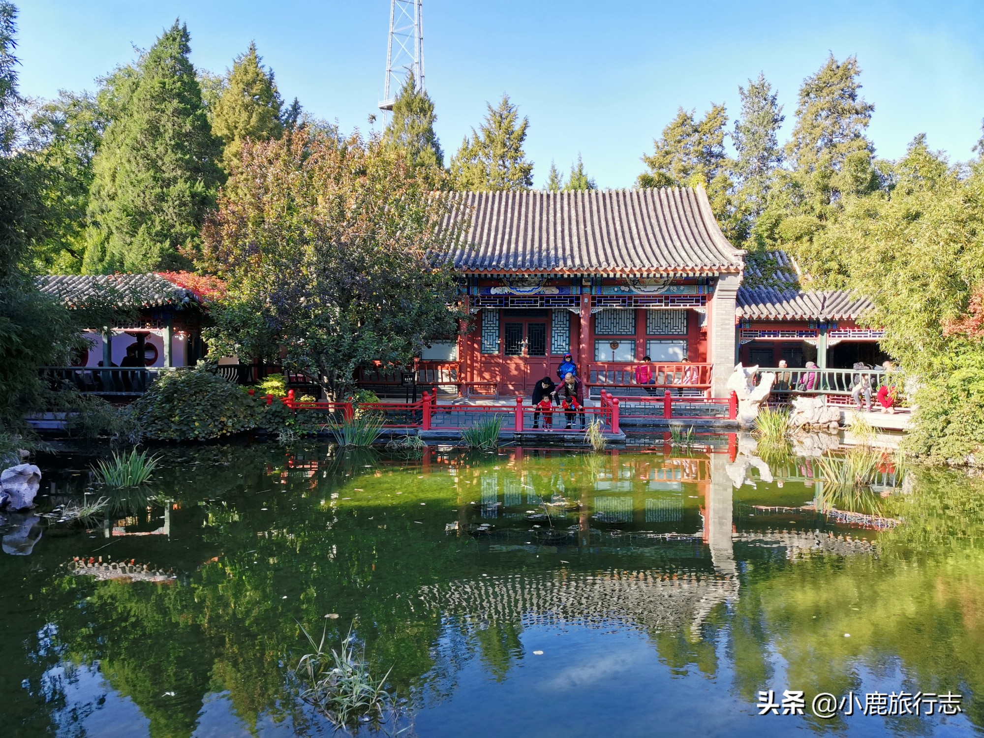 北京免费玩森林公园有哪些,北京森林公园一日游最佳攻略