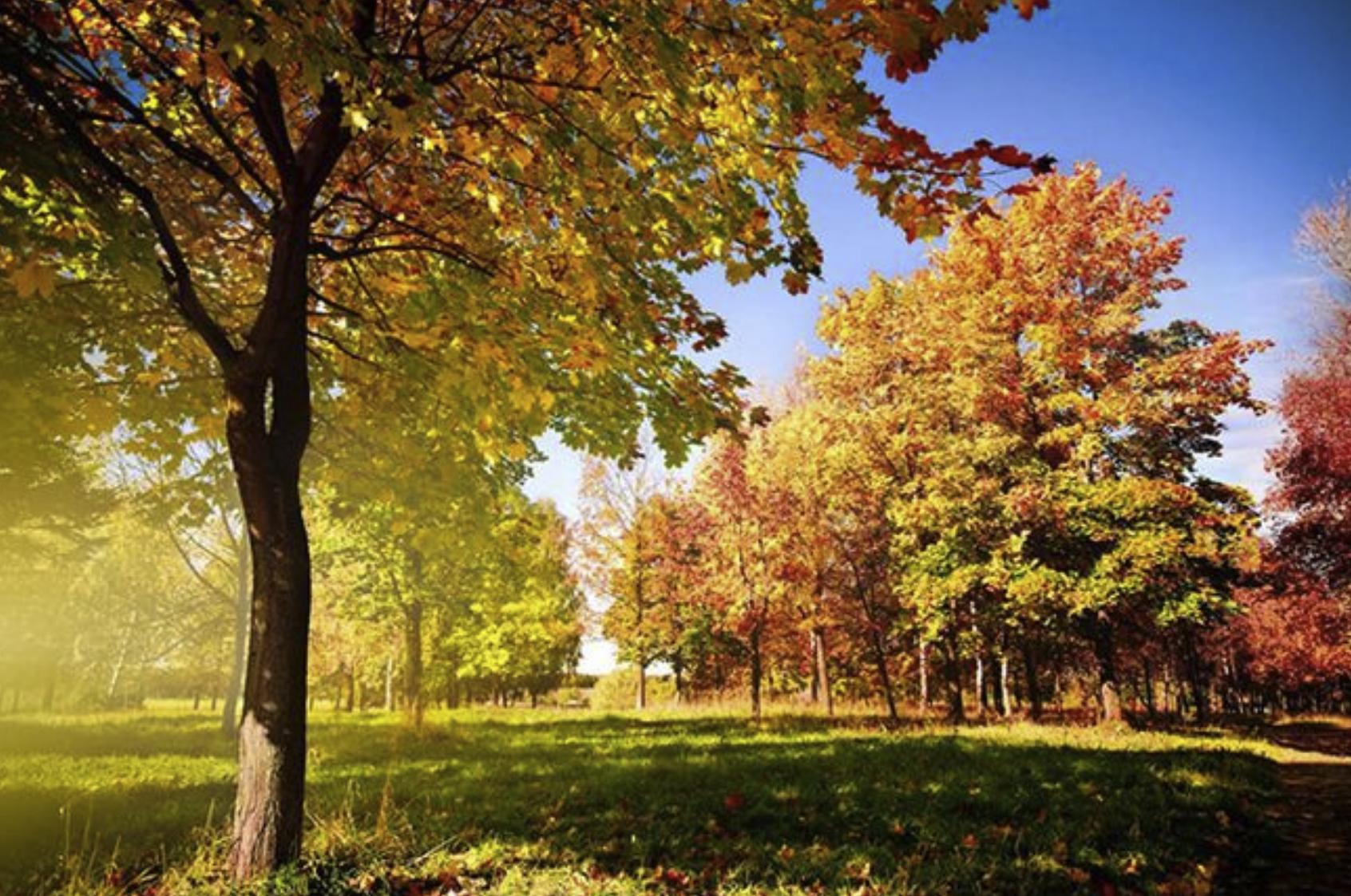 抑郁症秋冬季容易发作吗,为什么抑郁症在春天最严重