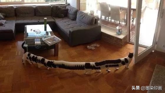 怎么拍抖音手机摄影教学,抖音分身术一人变三人怎么拍