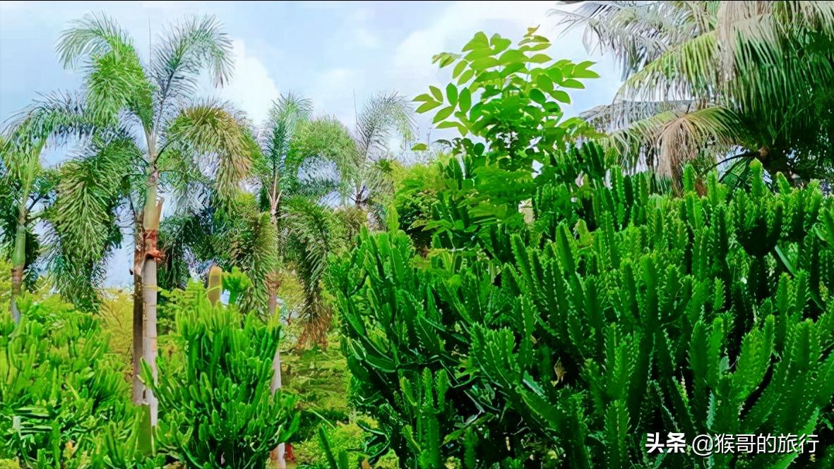 海口海甸岛世纪大道,海口海甸岛晚上超好看的广场