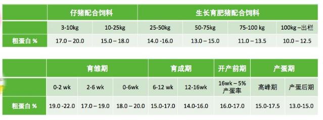 好饲料才能养出好状态,好饲料更高效