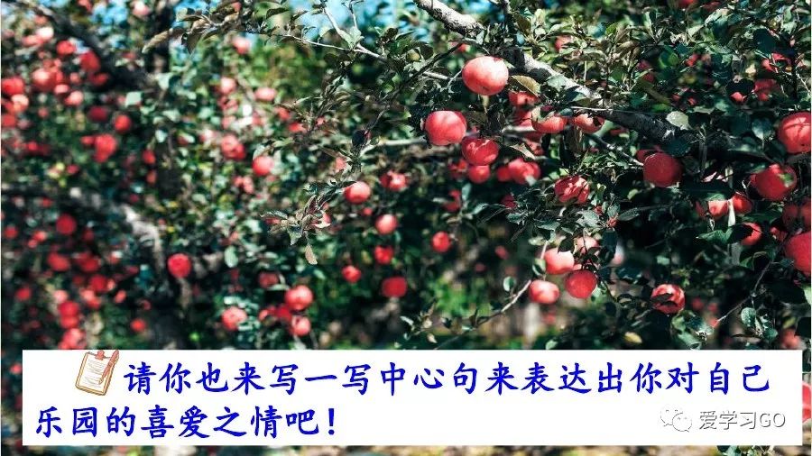 部编版我的乐园作文四年级下450字,四年级下册语文我的乐园优秀作文