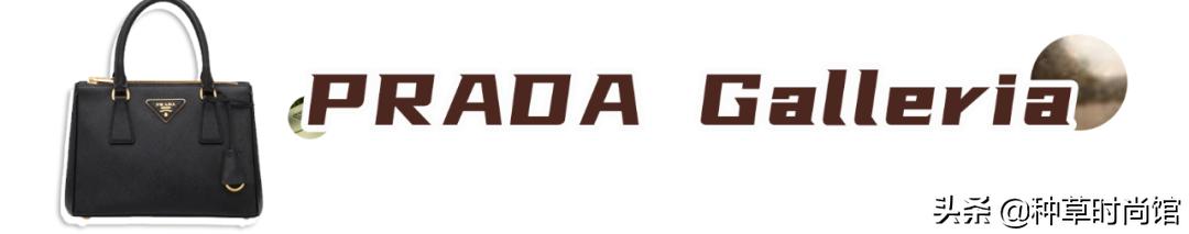 今夏必备的5款包包时髦炸了,5款神仙小众包包
