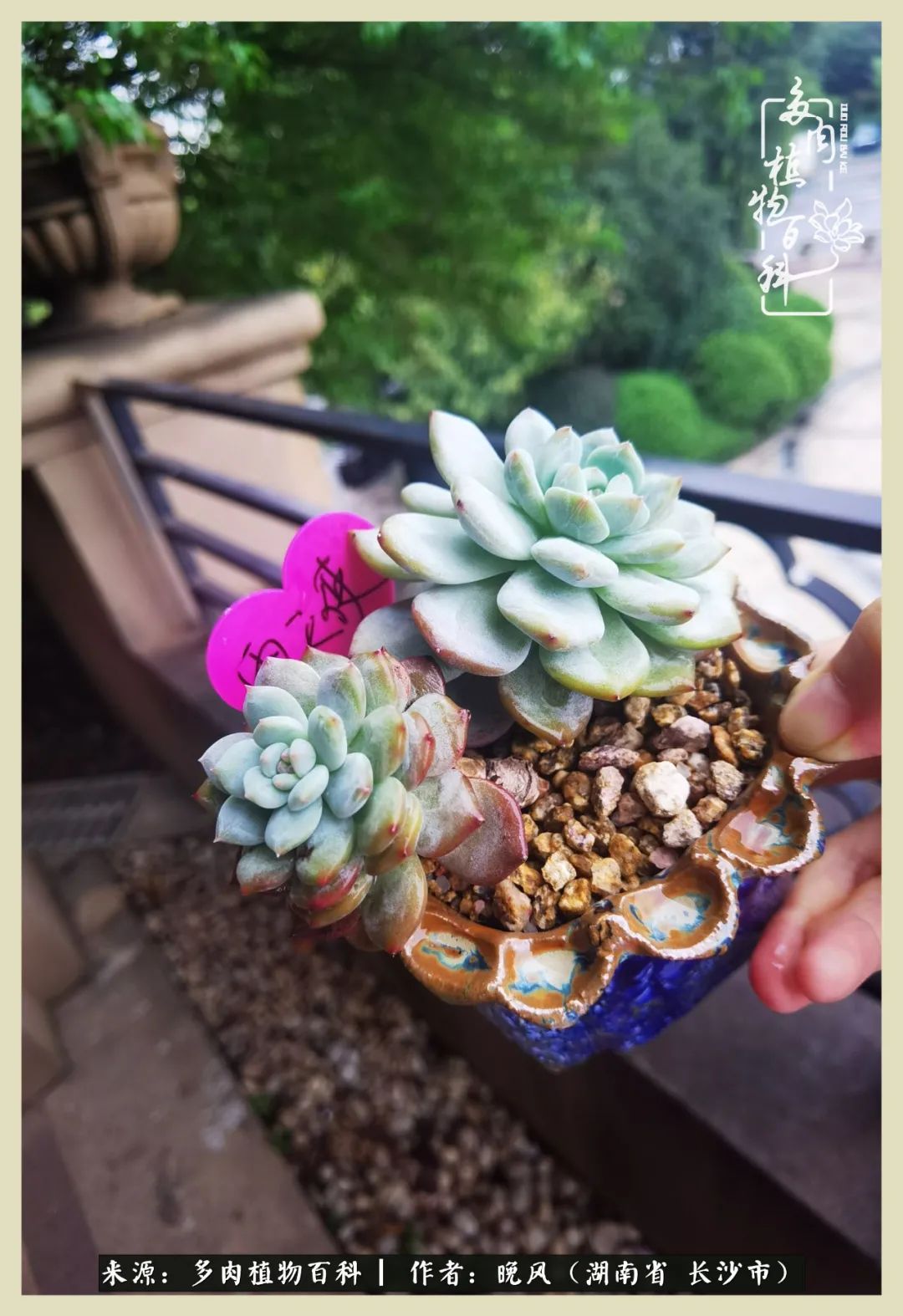 摇身一变成了奶爸,摇身一变成为打工人