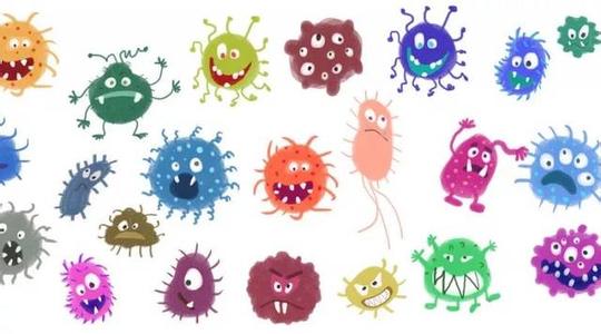 生物知识太多了怎么高效复习,生物学科怎么学才学得好