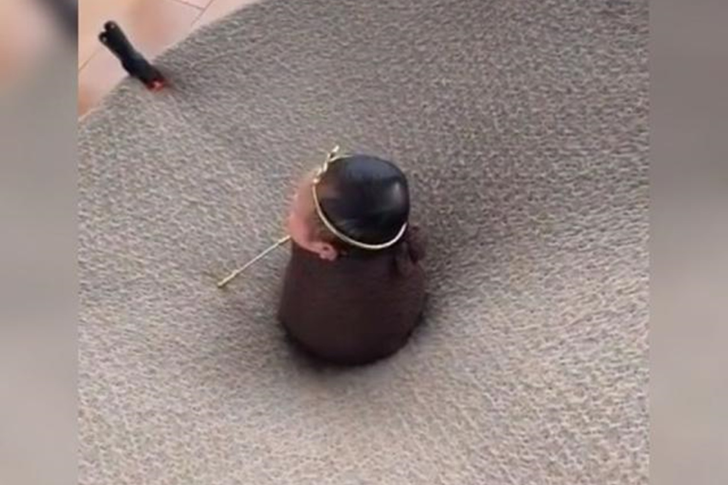 给宝宝拍满月照危害,为什么现在流行给宝宝拍满月照