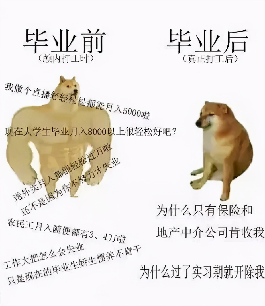 摩尔庄园10年前骗小朋友事件,别被骗了原版