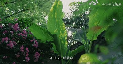 中式风格千万豪宅,中式家居豪宅