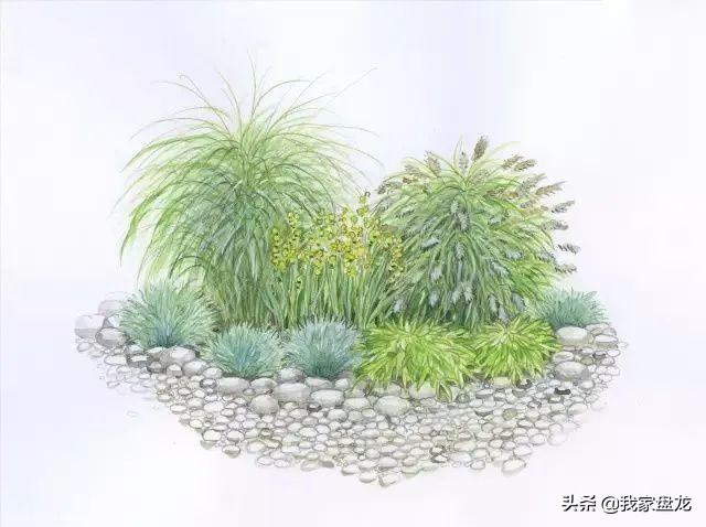 这种乱七八糟滴栽花方式,到底是不是园丁出了问题?