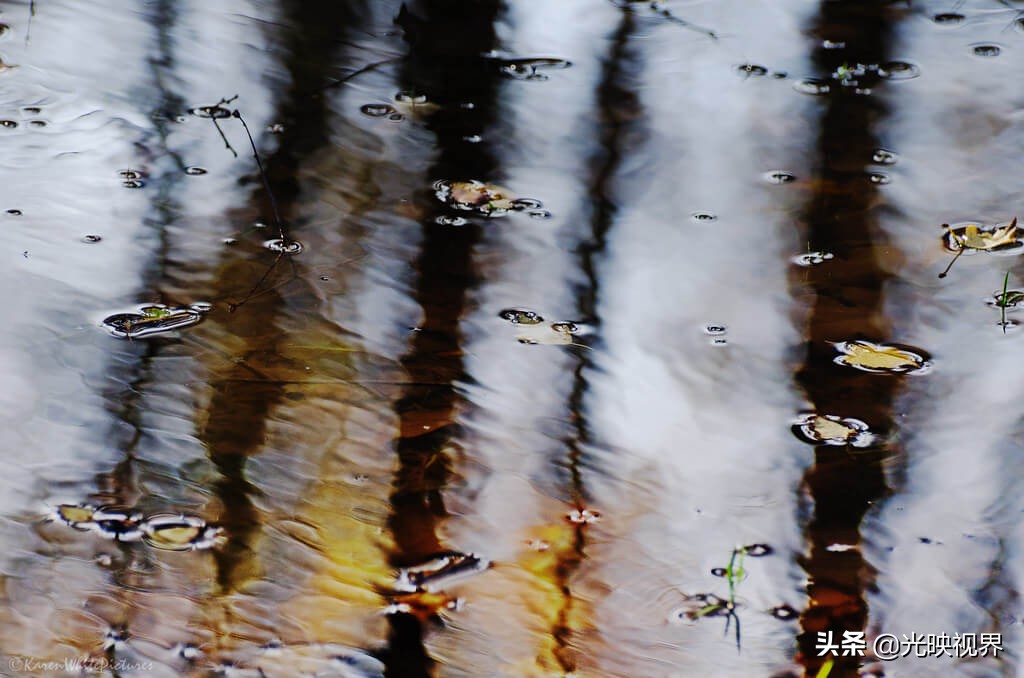 有关雨的美图,雨总能带给人直观的感受